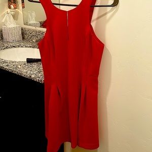 Brand New with out tags BCBG dress